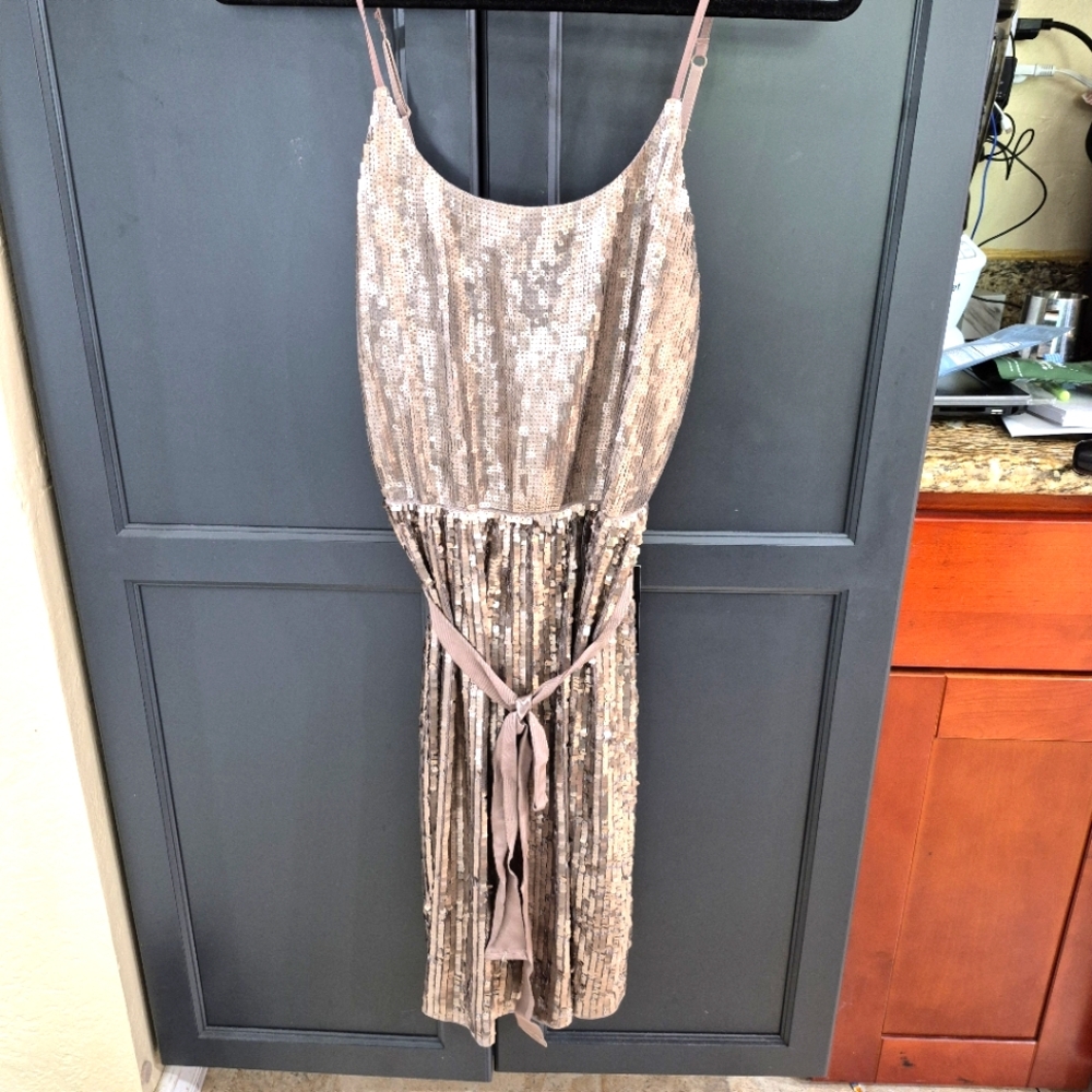 Express Sequin Taupe Mini Dress